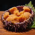 Fresh Sea Urchin: A Gourmet Delight from the Ocean